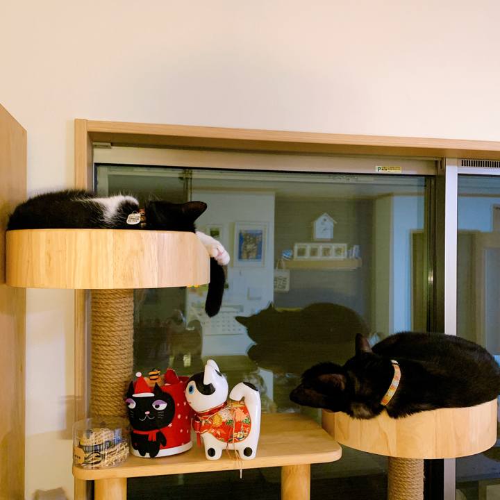 7e2e3af6 22af 41d0 9d97 68eecfb0c288 1570197116050