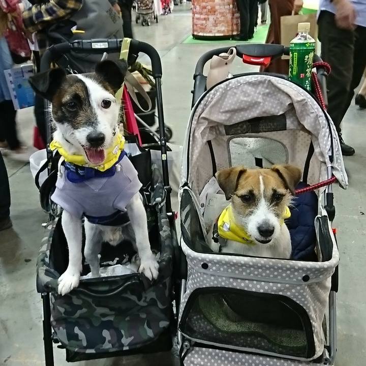 7e2e4552 b5c5 4d66 a52a c65cc3f2b646 1522570113471