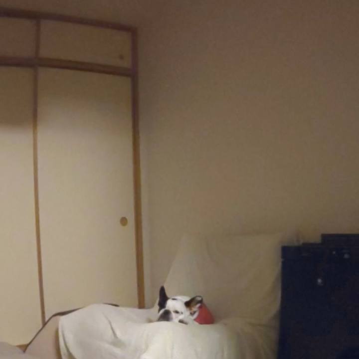 7e2e6445 c213 4867 a5a7 ec9b0bfc1f39 1636668841540