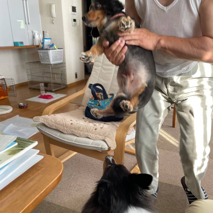 7e2e6c5e 4229 4dcb b993 8790562261fd 1626645573327