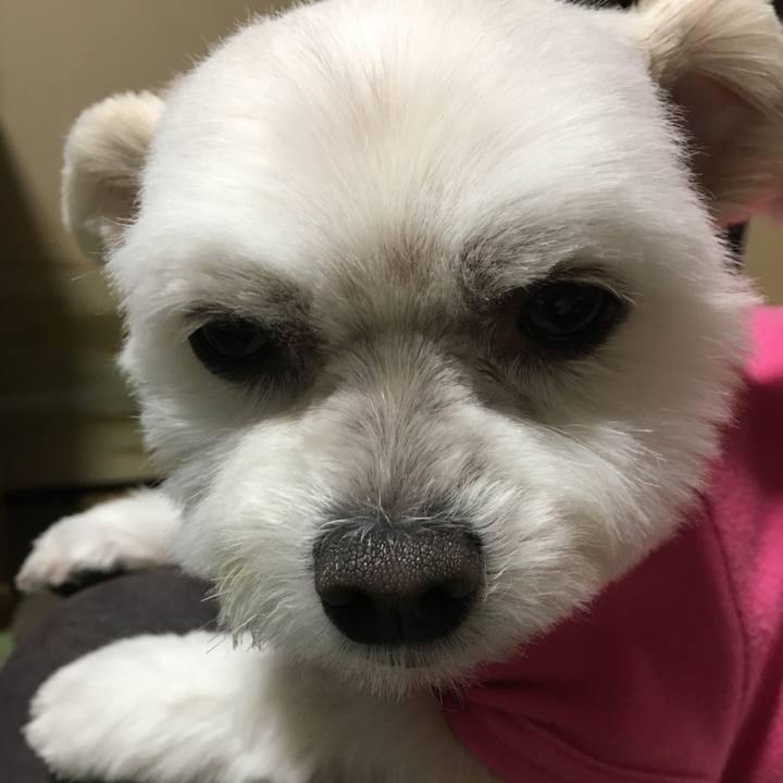 7e2e8753 35d6 4ffb 8a23 bc3f676ad447 1546597559667