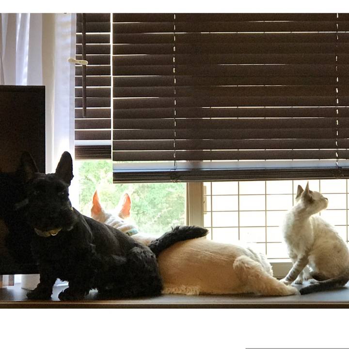 7e2e98aa 7888 4f07 b238 42720ada837d 1591773346292