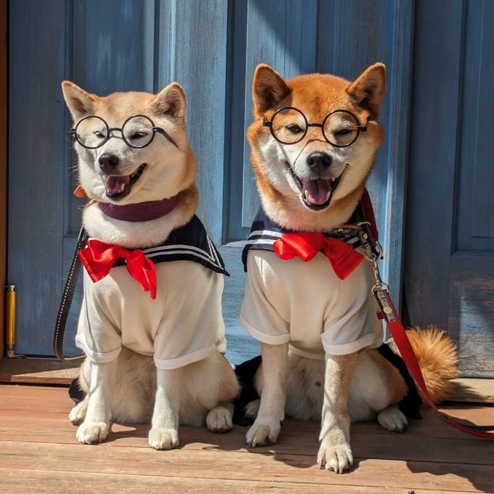 7e2ecd52 e5ca 4e4d 9654 b0c460cc5550 1715584600623