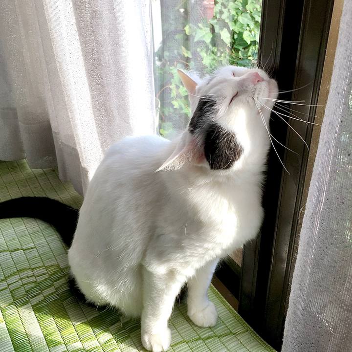 7e2edb06 6d4b 4e79 9bdd a76556c395c4 1586145387371