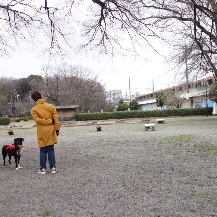 7e2eea63 3cca 476c 9037 d1910b1fe6c1 1583282524370