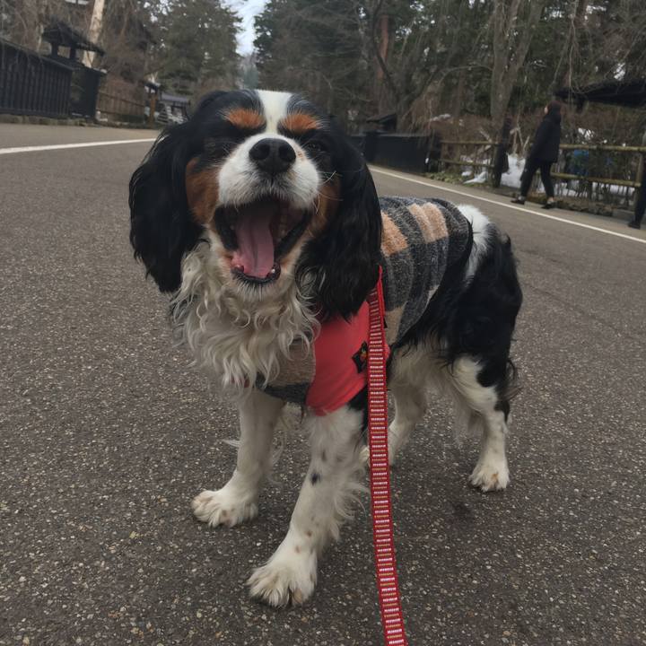 7e2efaf8 dc23 4ded 9038 9226ad9f052d 1521339934911