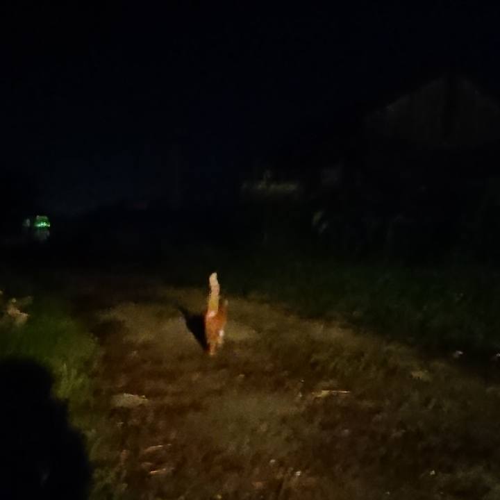 7e2f0d23 5db6 4a3e b864 9019c2755f81 1597061533365