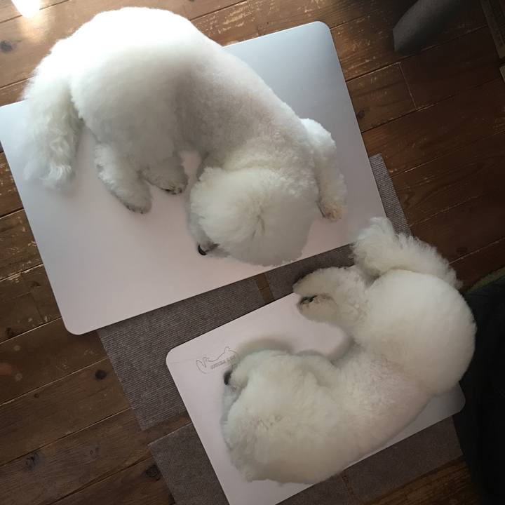 7e2f1871 4109 4dbf 8ab8 66ee91ff0a47 1566706670340