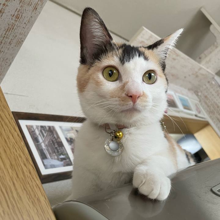 7e2f686d ad51 46e2 adf3 6cd7f065a3b5 1674350961817