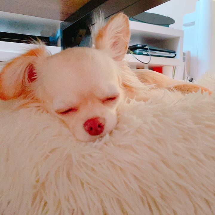 7e2f7e1c 3a1e 47d3 8bc1 14d2b613368d 1628283361974