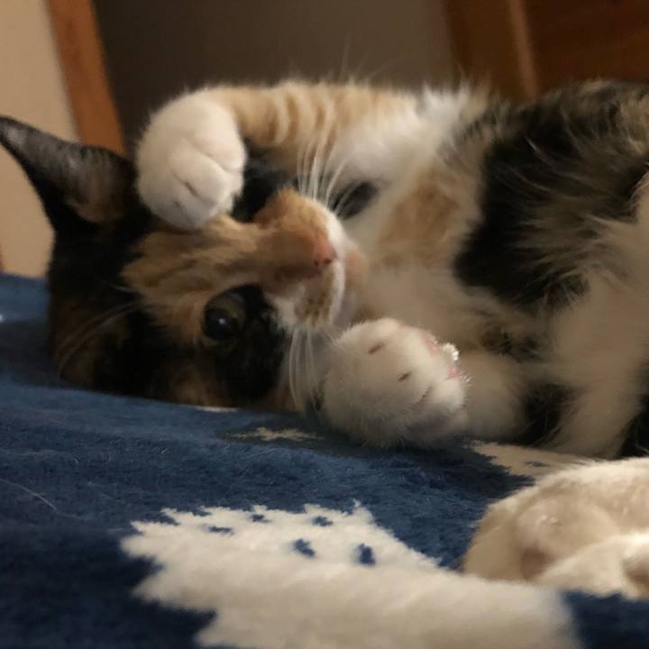 7e2fa033 36bc 475c 9971 7cd4f573ba5a 1561124977129