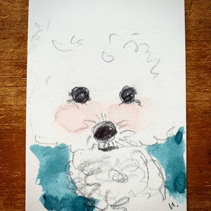 7e2fa5a7 9344 4135 93d5 8b5640ba2fe4 1608510169605