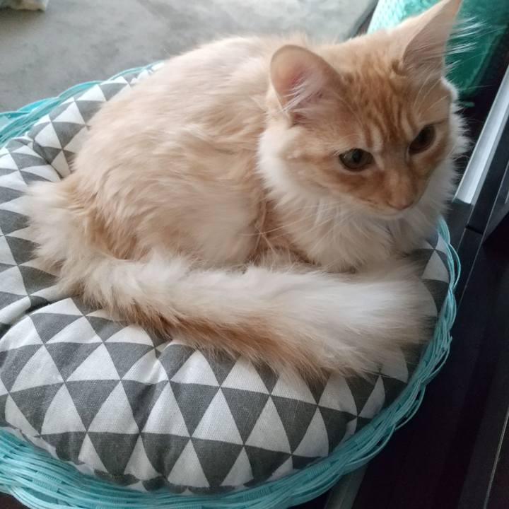 7e2fee53 440b 420a 8f8c 9d371e16305b 1619474902624