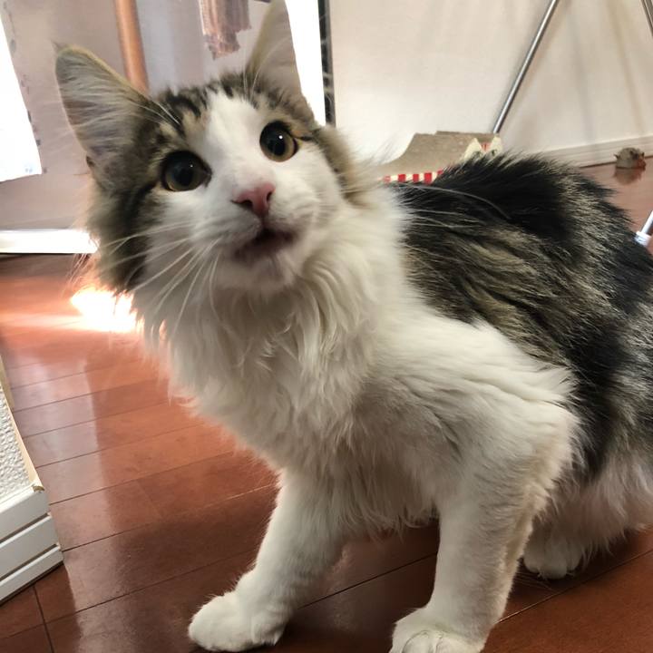 7e30253c 0033 42fb 91e8 d79287252574 1518500327332