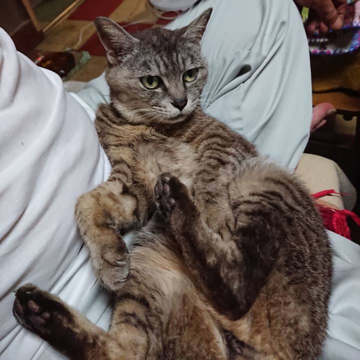 7e302819 e4cf 4daf a58d 5ba54a9240a6 1565001578062