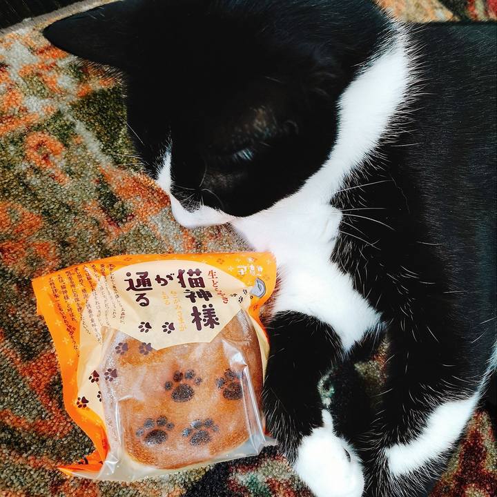 7e302b18 e4fa 4c78 b1df 379c0b3e049f 1571082434481