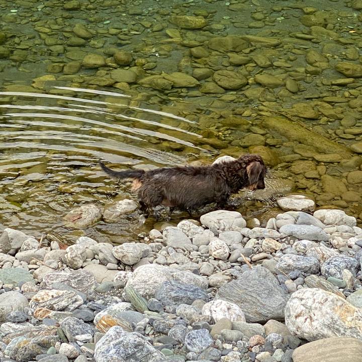 7e303337 3e18 49eb 9238 aa2e3cdd4da9 1600751582076