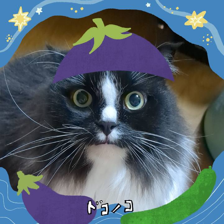 7e303d10 01c2 4570 9bcc e9150348ae64 1755083474080