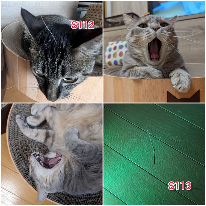 7e3046d6 fe51 44d4 bdb9 f6f374c2927f 1721191229716