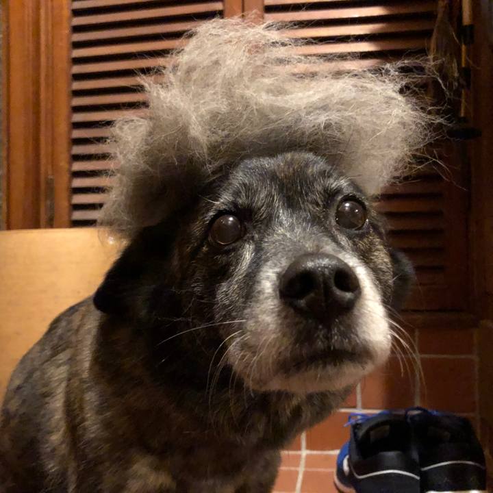 7e304eae 3156 497b a924 a88d3b9e1ce0 1614089353818