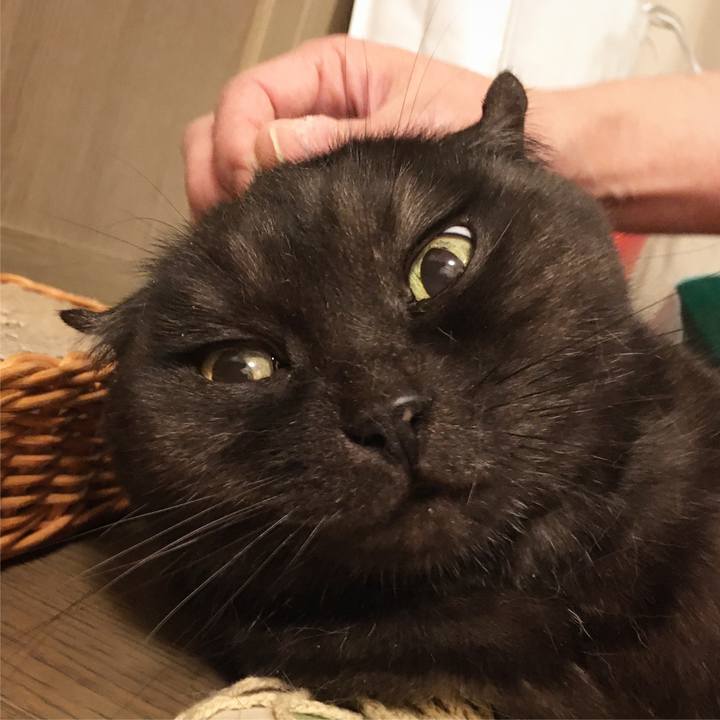 7e30619e 69bc 4b70 98a5 45b899d7bba1 1578672163943