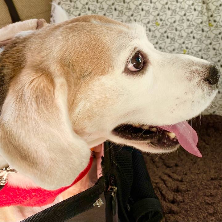 7e30b181 c227 45fc a8db 1787b1be3bf9 1613448628251