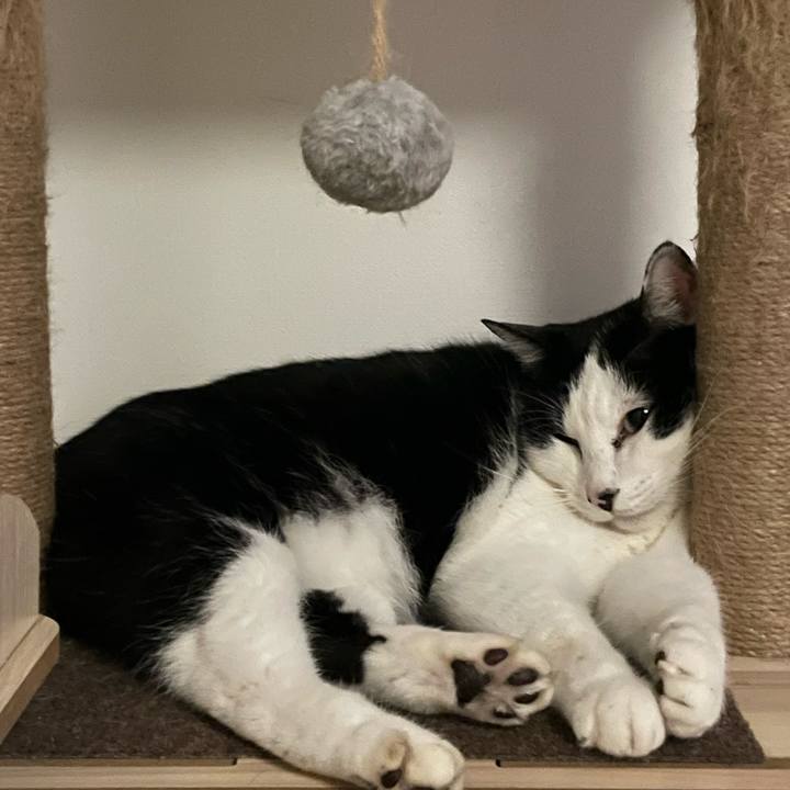 7e30bd73 8c1f 4ad3 acb3 4deb04545a3a 1703406989266