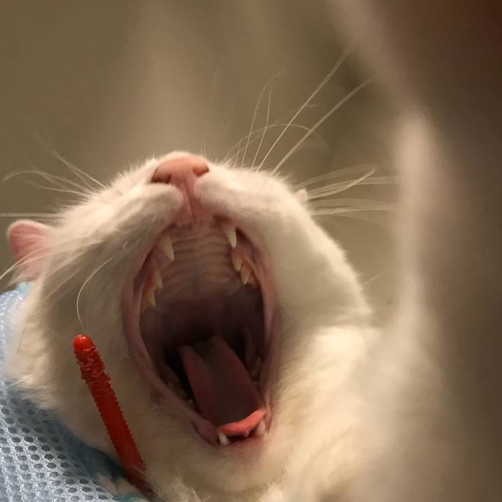 7e30da35 e266 4e22 96c0 44fea0800b79 1525528262139