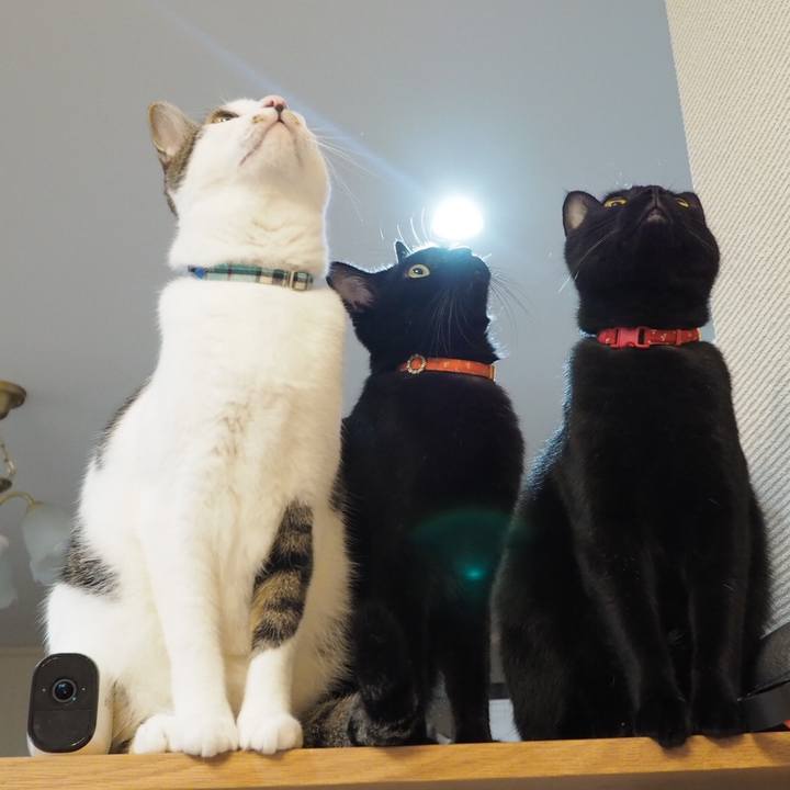 7e31212c 5e68 49a0 b1b8 40b5ad9341be 1546065389096