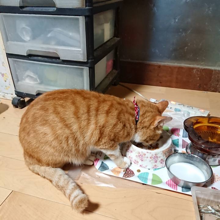 7e3133ec 96f9 405a 82f8 2c389817c213 1597695941775