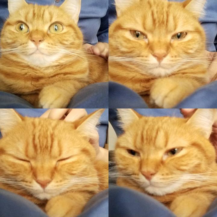 7e314a0e 503b 47dd 84aa 8f2220aec452 1605246955536