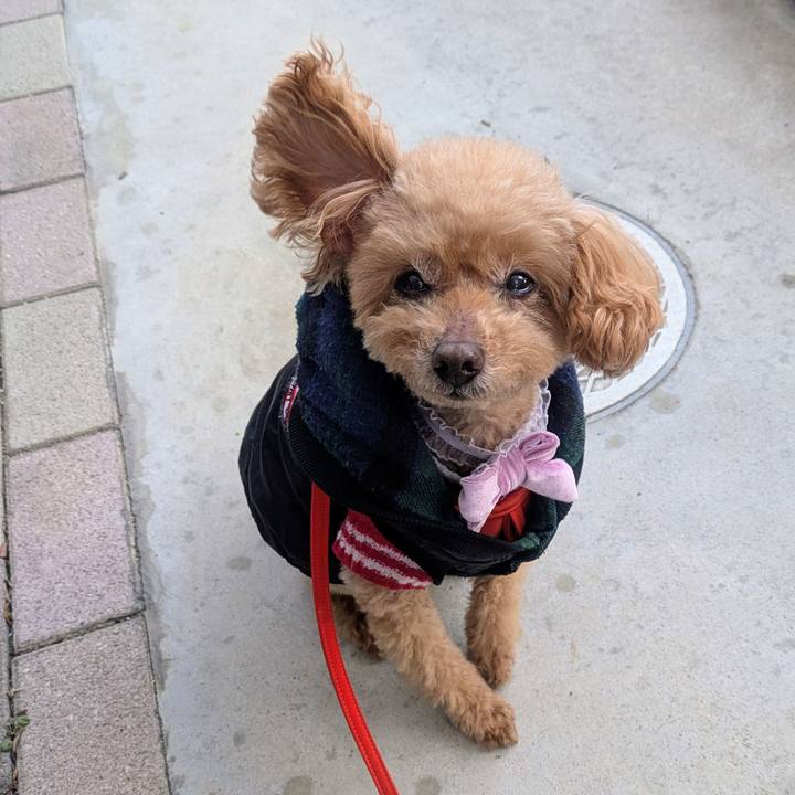 7e3181df 7cc8 4623 b8aa a433e51bea0f 1770161524625