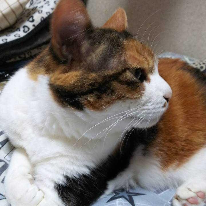 7e31ed94 bdfe 4c83 9d80 193bcdefdc44 1526507203841