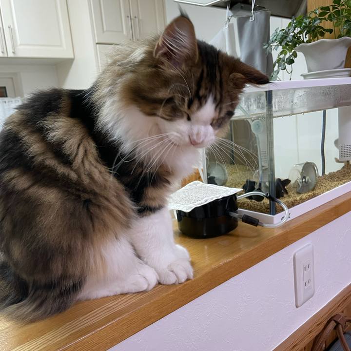 7e31f860 1e06 404f ad3b fcdb9b33178c 1639388759679