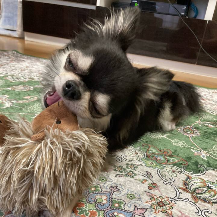 7e320ba2 2165 4a9d b61b bd9c4c785b8d 1663507841601