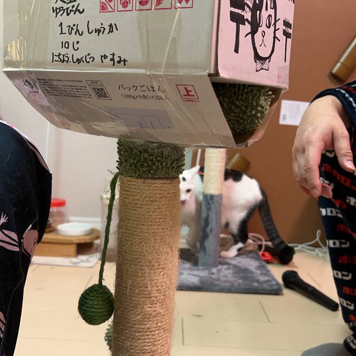 7e323948 c6a3 477a bff6 0e4ab355fa03 1767466281039