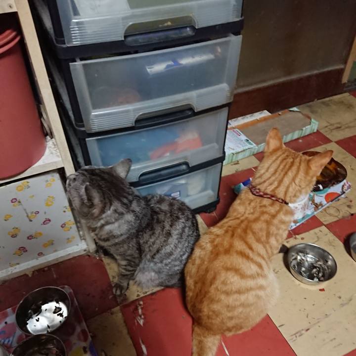 7e3239be 6f4a 449a 9b84 3d90446edc3b 1563565892391