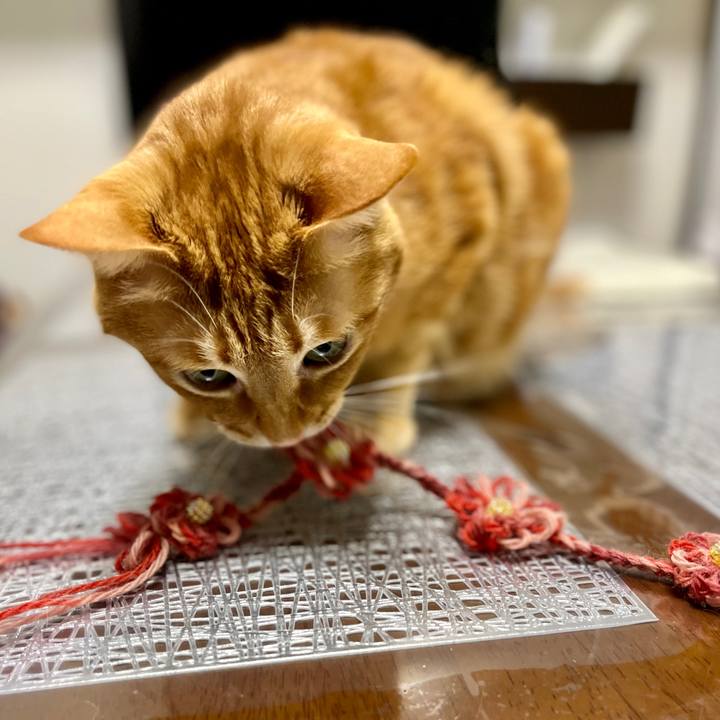 7e32b784 45e5 4a7b a1bf 28e7b76db2f0 1643282543901