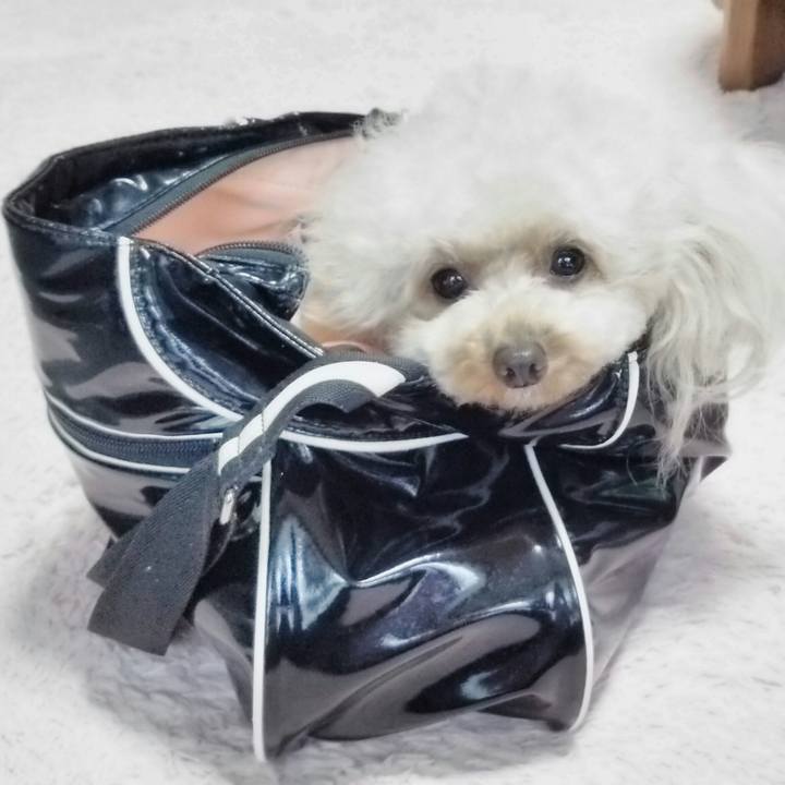 7e32cb25 cd94 47c9 ba23 74a53476ef76 1539347471313