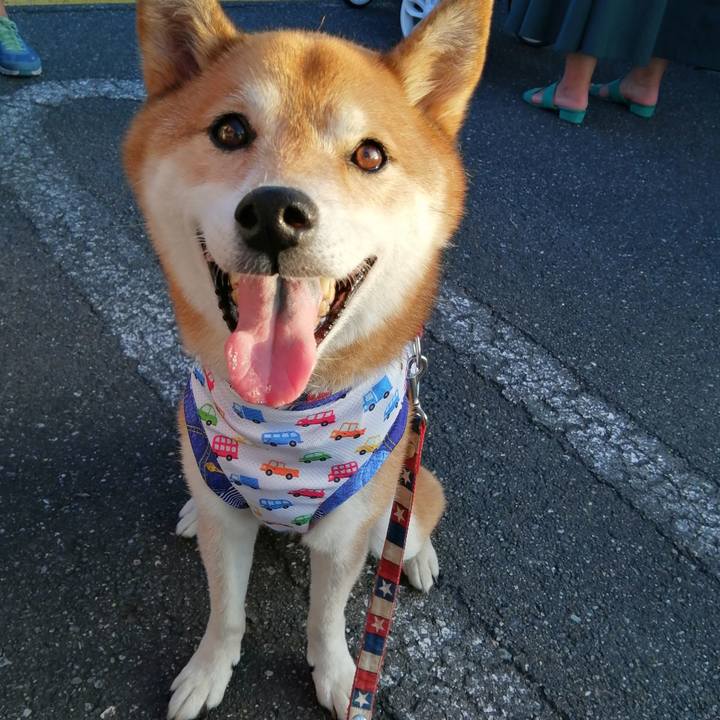 7e32e223 4b0b 4804 b2b8 591f40e0b527 1690710941913