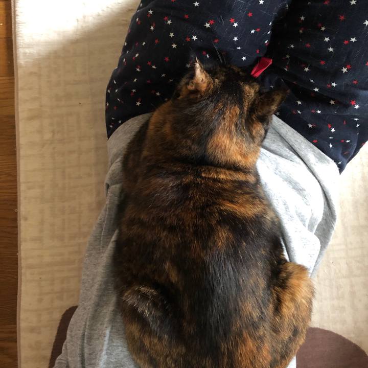 7e32faa4 fa11 4a1d 9c68 2dc1f84ae3d3 1589593637689