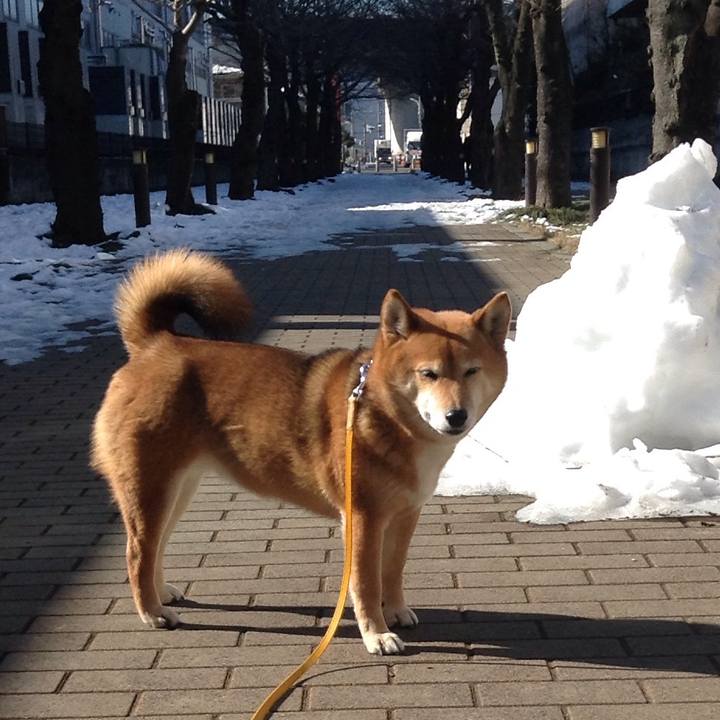 7e332d04 fec9 4eb0 a808 9c3954e7ae4c 1517282448383