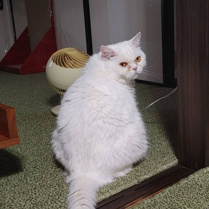 7e33b18a 5262 4c9a a89b 81c8adbffb8d 1716105063302