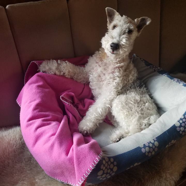 7e33d5a5 f58a 4bf0 8c4d 86b053d347db 1551135273961