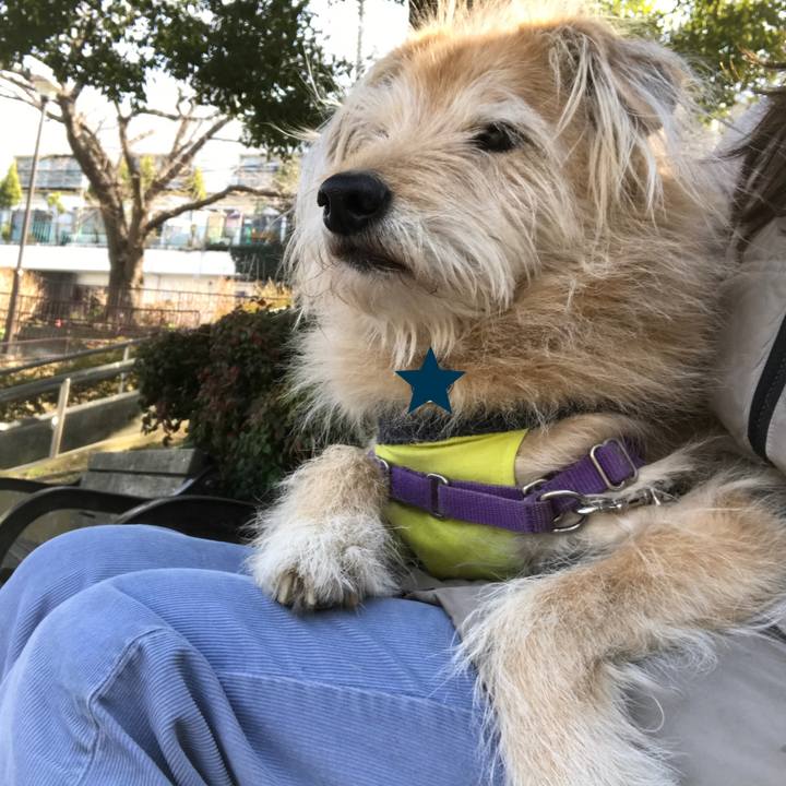 7e33dbb1 79ec 4827 9ec9 0da2dbad9030 1550293137667