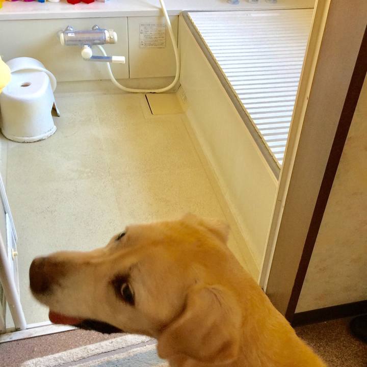 7e33e62b 0998 482f 9138 b340808ad283 1537930443193