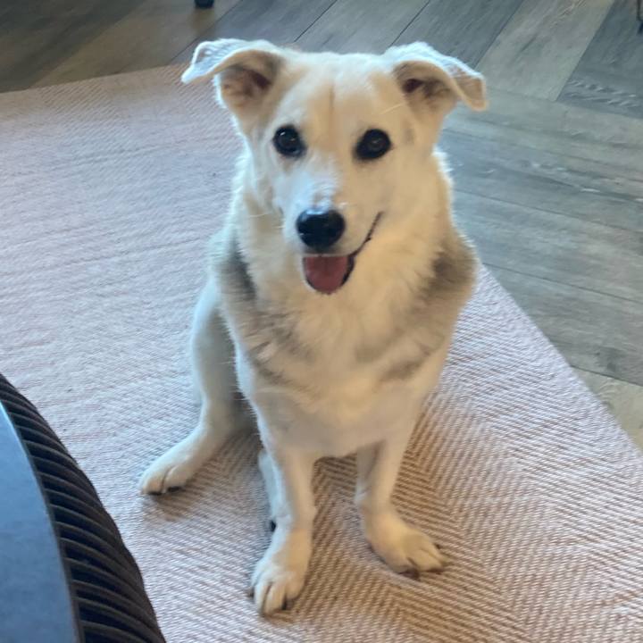 7e33ef26 f691 45ec 9fa2 76f8d63fd5d1 1735627840837