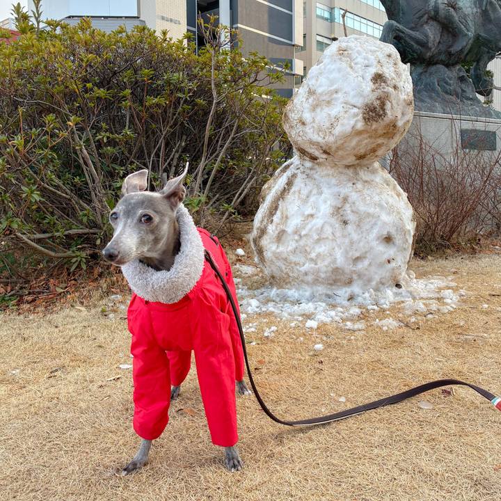 7e33fa6c 4b69 4c18 9dc5 d9d92e589254 1770625588318