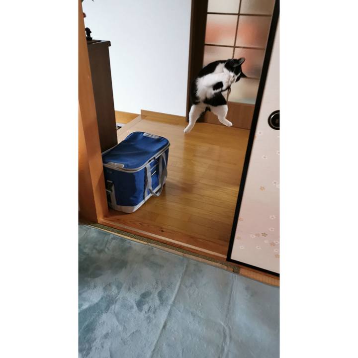 7e341747 4f44 4516 80c4 e475ba820496 1640495285846