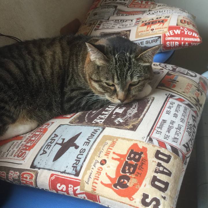 7e347a8d 66c9 4a76 b5d5 f67794519c1d 1562121881599